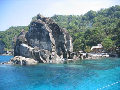 Apo Island marine sanctuary Negros Oriental Philippines
